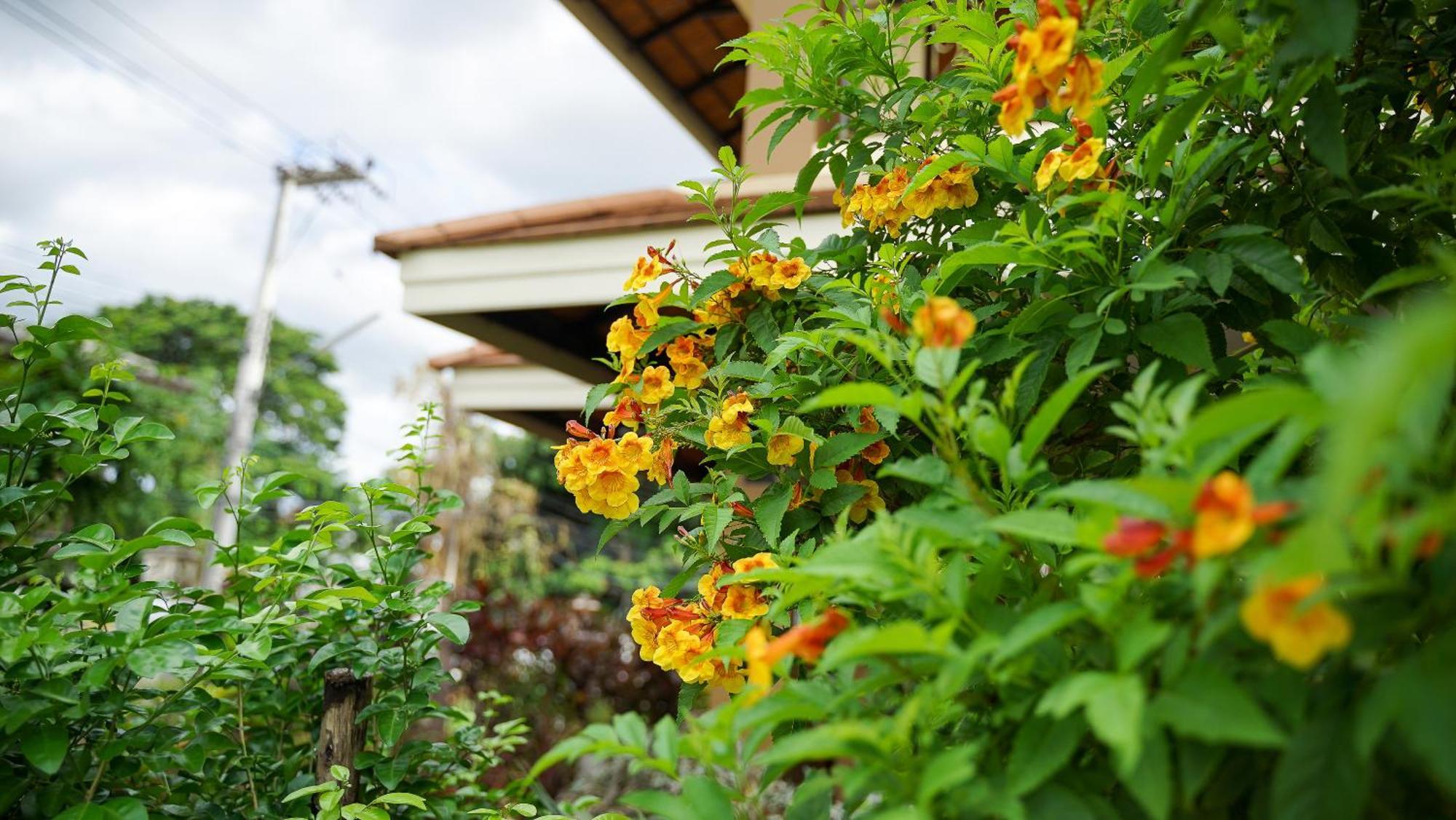 Laph Kham House Aparthotel Chiang Mai Luaran gambar