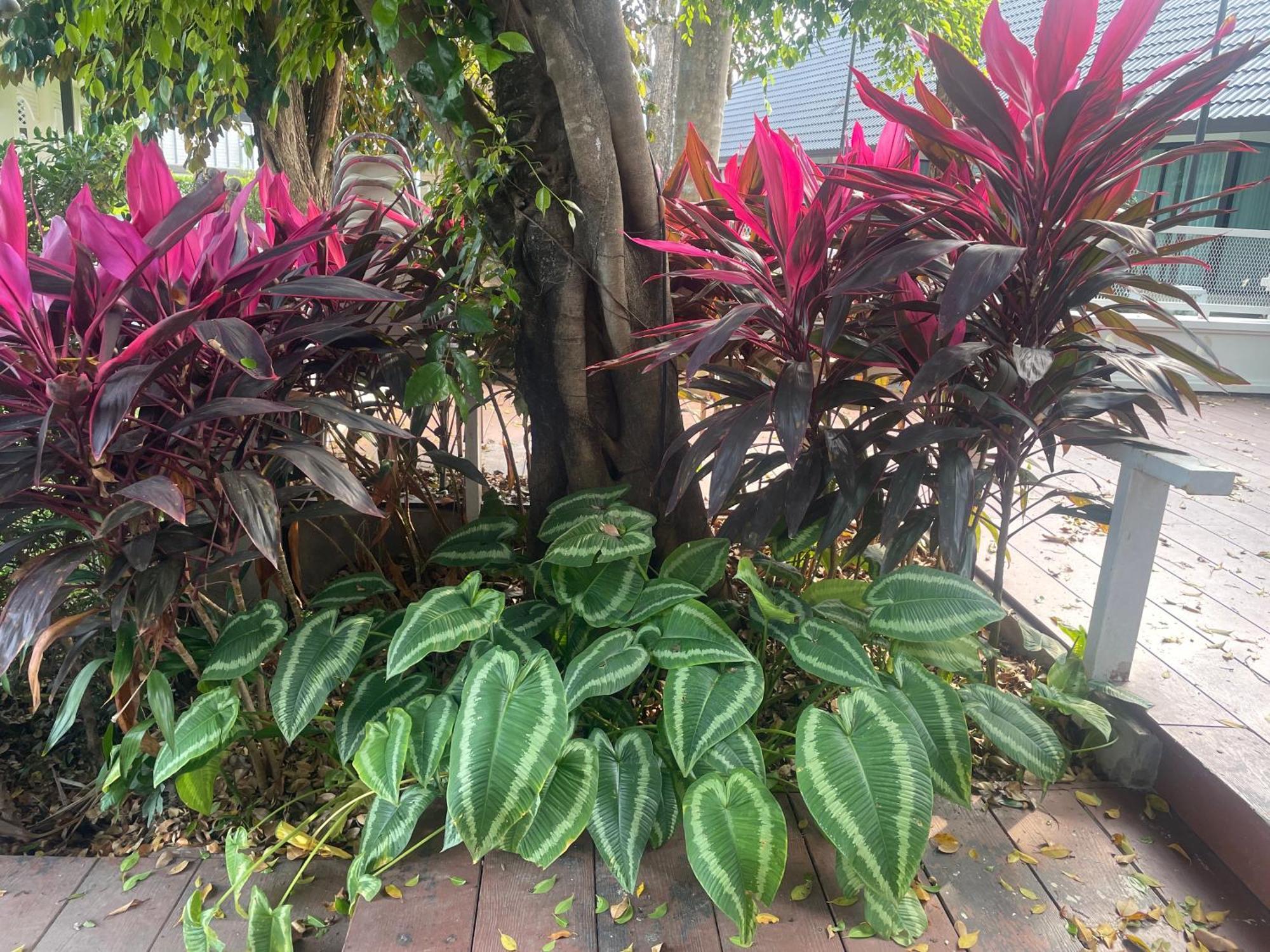 Laph Kham House Aparthotel Chiang Mai Luaran gambar